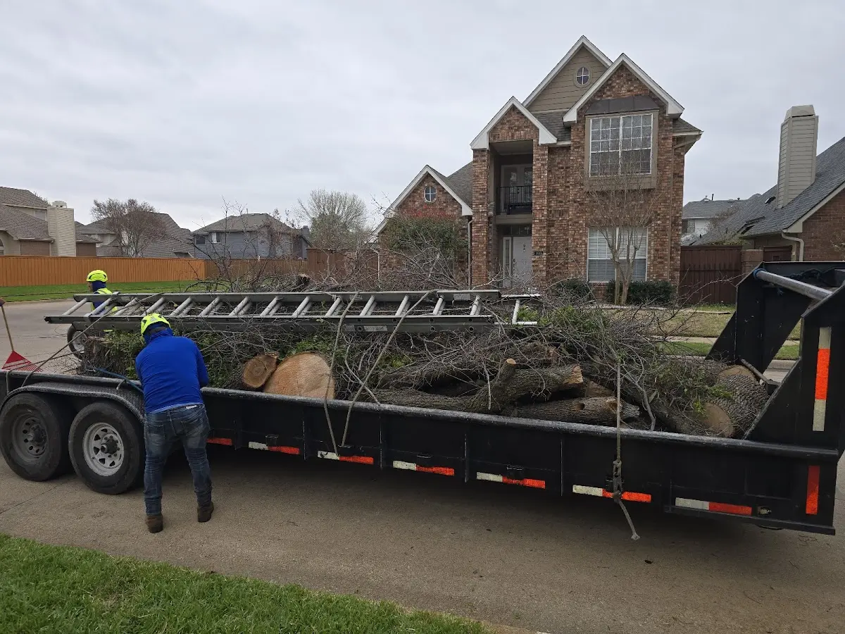 Expert Lot Clearing with proper safety equipment in Convoy